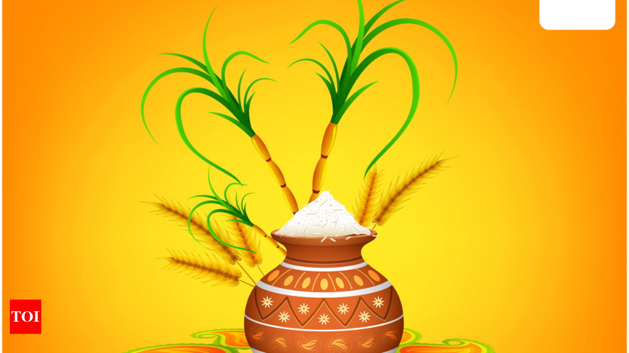 Happy Pongal 2023 | Pongal Greetings | Crane Manufacturers India EOT Cranes  JIB Gantry Cranes Material Handling Equipment Transfer Trolleys Hoist  Manufacturer Industrial Cranes Heavy Lifting Solutions Overhead Cranes  Manufacturers