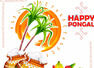 Best messages to share on Pongal