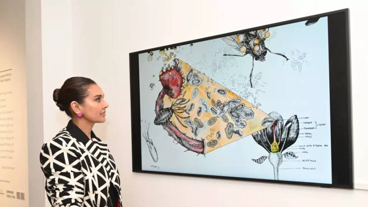 digital display screens for art exhibitions made in china