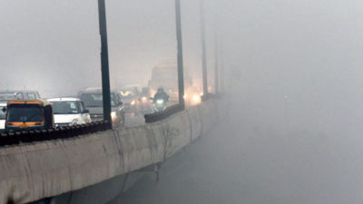 Delhi weather: Cold wave to return after a short respite