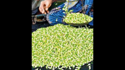 Price of jasmine shoots up to Rs 4,000/kg in Madurai market