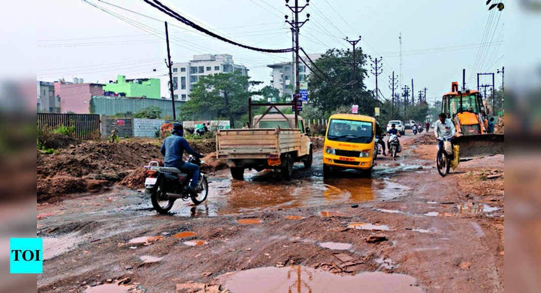 Puddle Of Troubles For Daily Commuters On Dal Dal Seoni Rd | Raipur ...