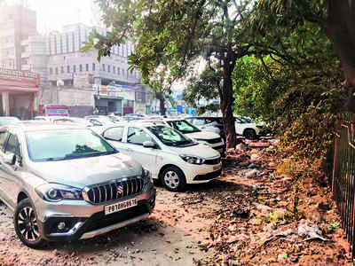 Green belt encroachments: Joint panel submits 2 contrary reports