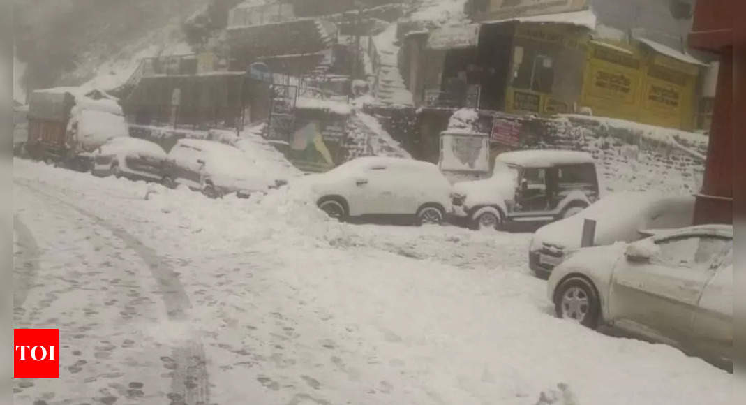 Shimla Receives Snowfall, Many Roads Blocked 