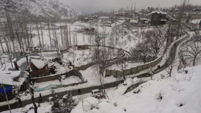 Multiple avalanches reported in Jammu and Kashmir after heavy snowfall