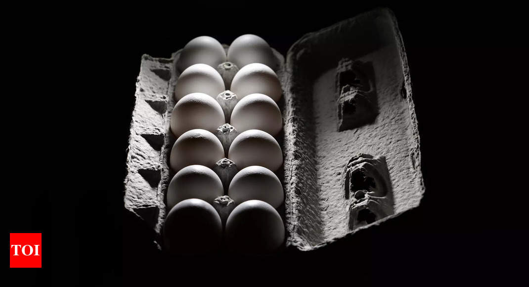 मुंबई में मांग और लागत बढ़ने से अंडे की कीमतें 90 रुपए प्रति दर्जन के पार |  मुंबई समाचार – टाइम्स ऑफ इंडिया
