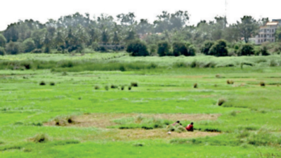Simpler land conversion will boost investments in Karnataka: Experts