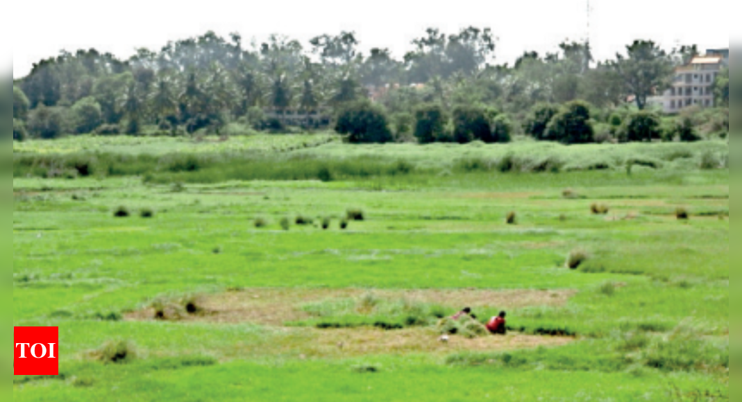 सरल भूमि रूपांतरण से कर्नाटक में निवेश को बढ़ावा मिलेगा: विशेषज्ञ |  बेंगलुरु समाचार – टाइम्स ऑफ इंडिया