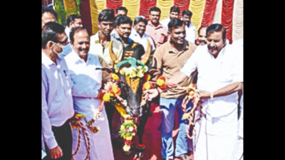 Govt Photo Expo Begins In Salem | Salem News - Times of India