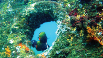 Goa: Deep dive into the world of shipwrecks