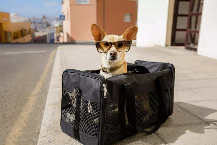 Off to the station!