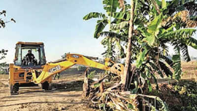 90 per cent of Pabha forest in Assam freed from encroachment