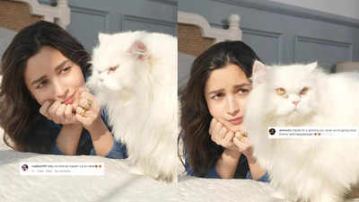 Alia Bhatt gets royal ignore from her furball Edward; fans say 'cause you're giving more time to Raha'