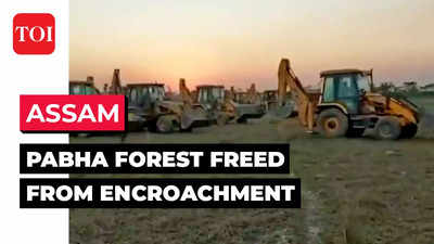 Assam: 90 percent of Pabha forest freed from encroachment