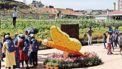 Krishi Mela to start in Chikkamagaluru on January 18