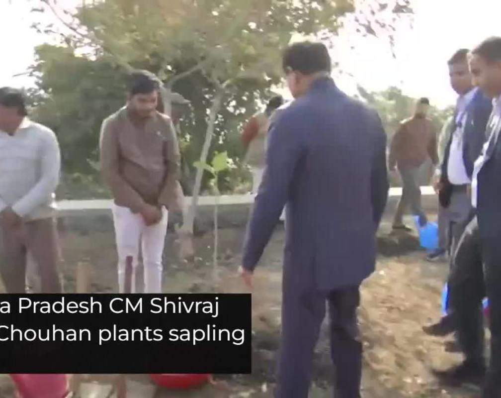 
Madhya Pradesh CM Shivraj Singh Chouhan plants sapling
