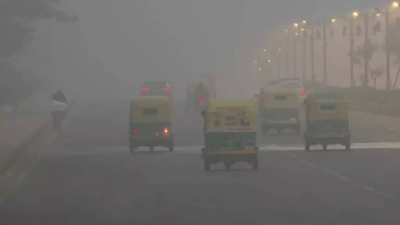 Safdarjung in Delhi records 1.4 degree Celsius