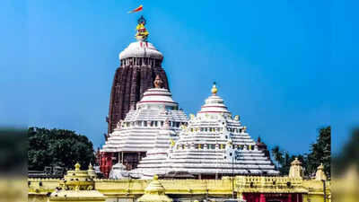 Hordes of rodents invade Puri shrine, servitors raise alarm