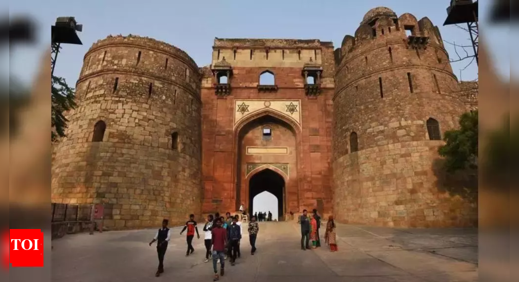 दिल्ली के पुराना किला में 2,500 साल पुराने सांस्कृतिक भंडार को संरक्षित करेगा एएसआई |  दिल्ली समाचार – टाइम्स ऑफ इंडिया
