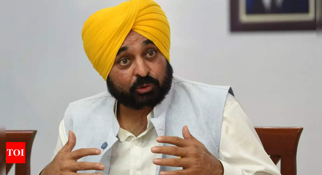 Mann: AAP Govt Gave 25,000 Jobs, Claims Punjab CM Bhagwant Mann ...