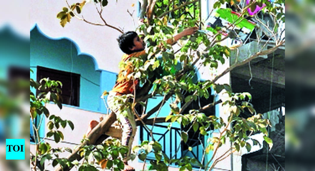 Manja-related Injuries On The Decline In Hyd | Hyderabad News - Times ...