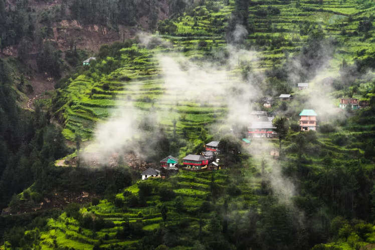 Jibhi