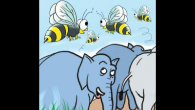 Bee-buzz & sound amplifiers in unique bid to ward off elephants in Madhya Pradesh