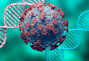 XBB.1.5 more likely to infect the vaccinated or those who have had COVID: Report