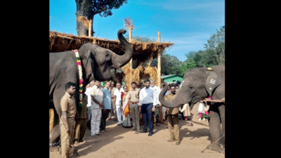 In Kovai, it’s Pongal with pachyderms