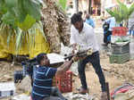 Bengaluru’s Gandhi Bazaar came alive as Sankranti shoppers stepped out