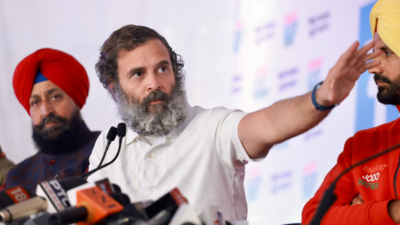 Mohan Bhagwat's ideas are not Hindu ideas but only of RSS: Rahul Gandhi