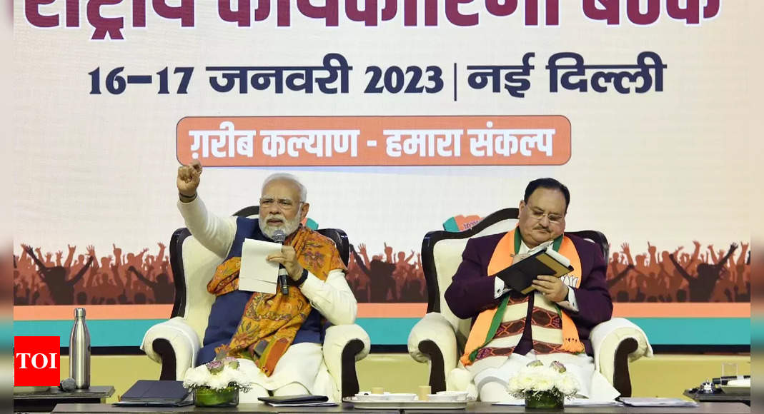 Reach out to Muslims without expecting votes in return: PM Modi to BJP workers | India News – Times of India