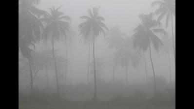 Goa sees dense fog for second day