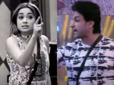 Tina screams at Shalin, calls him 'dogala'