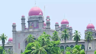 Telangana high court grants visitation rights to grandmother