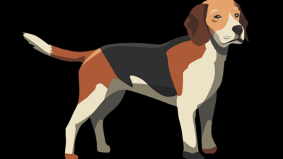National Dog Show in Mysuru for only pedigree breeds