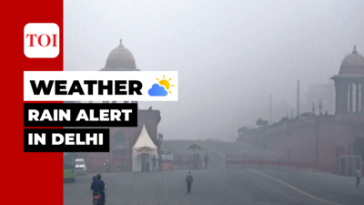 Delhi weather: Rain & hail likely in city next week