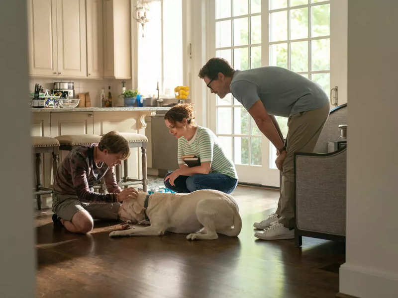 Dog Gone: 'It’s a wholesome family movie that’s very sweet,' say netizens