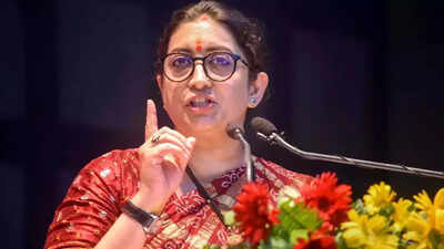 India open for business 24/7: Smriti Irani