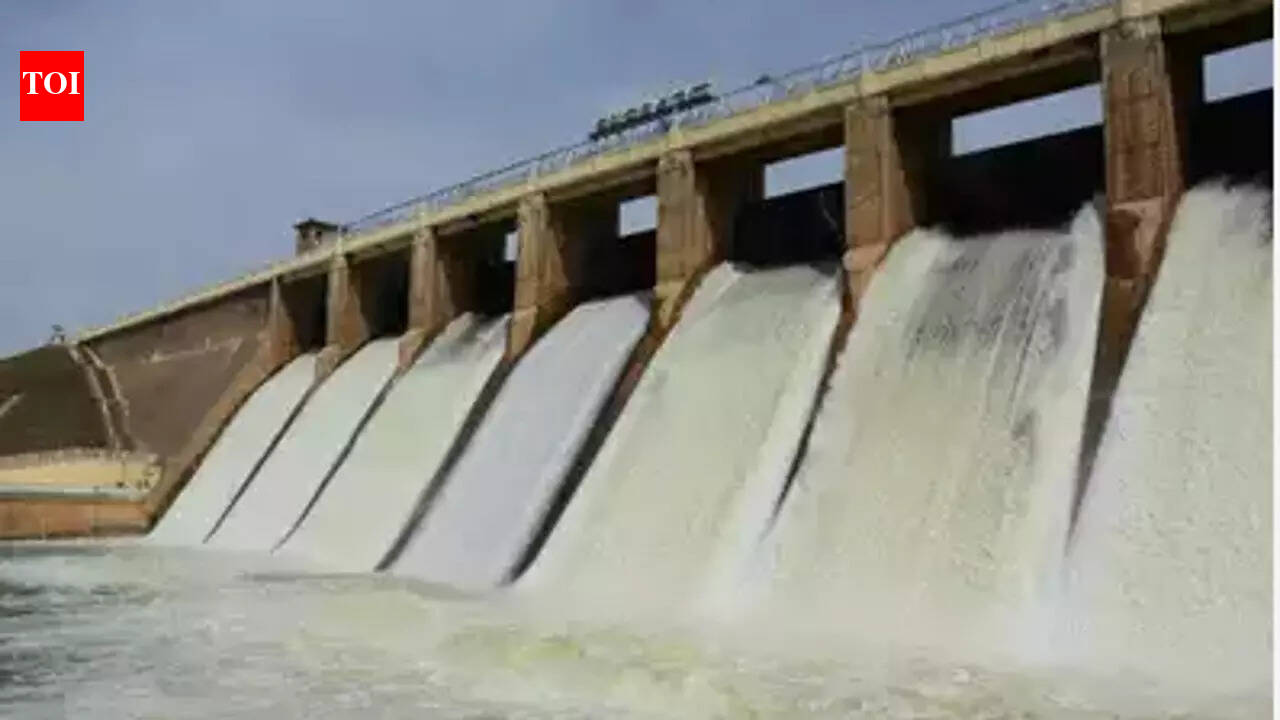 Arunachal Dam: Fearing ‘water war’ by China, Indian government puts ...