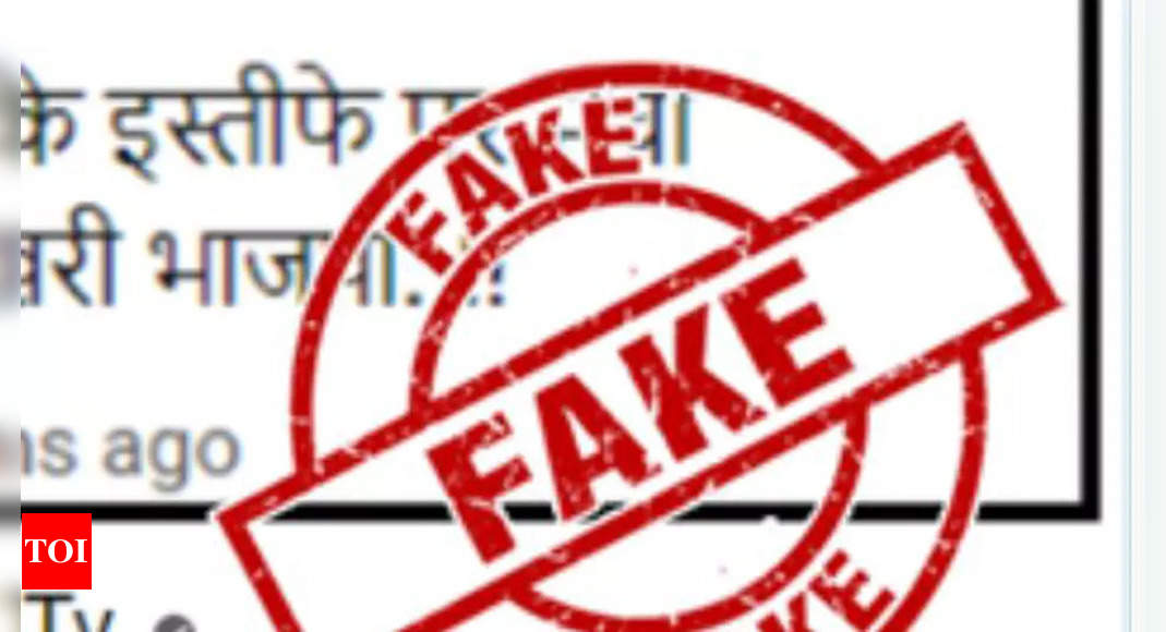 Deciding what’s fake news can’t be in sole hands of government: EGI | India News – Times of India
