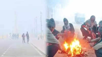 Delhi weather: 8 cold wave days this January, highest in 15 years