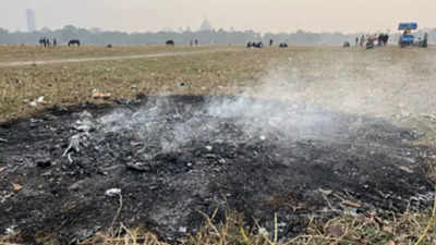 Open, dirty secret behind greenest zone having poorest AQI in Kolkata: Burning grass, leaves