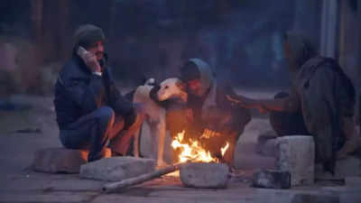 Respite from cold likely in Bihar