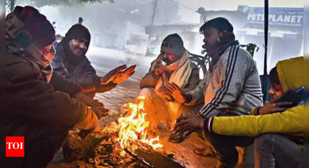 Pilibhit: Farmers Spend Sleepless Nights In Fields Amid Cold Wave To ...