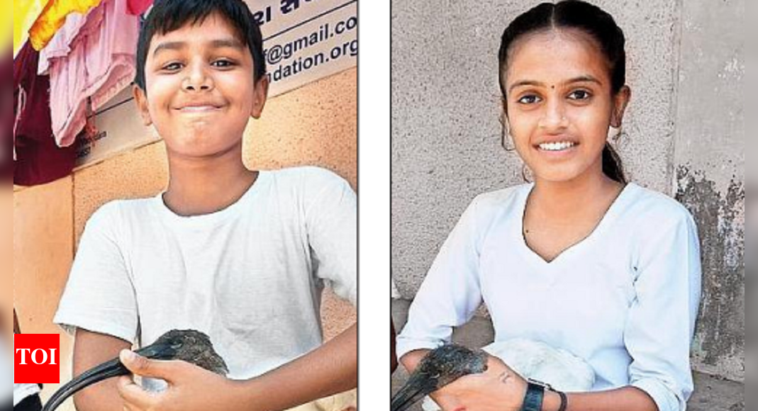 Wadhwana: 3 Slum Kids Roped In For Wadhwana Bird Census | Vadodara News ...