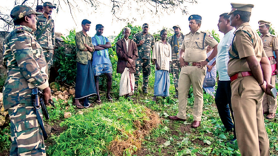 How cops weeded out ganja from 1,000 Tamil Nadu villages