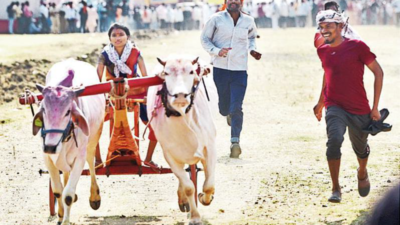 Young & old at all-women Shankarpat win hearts alike