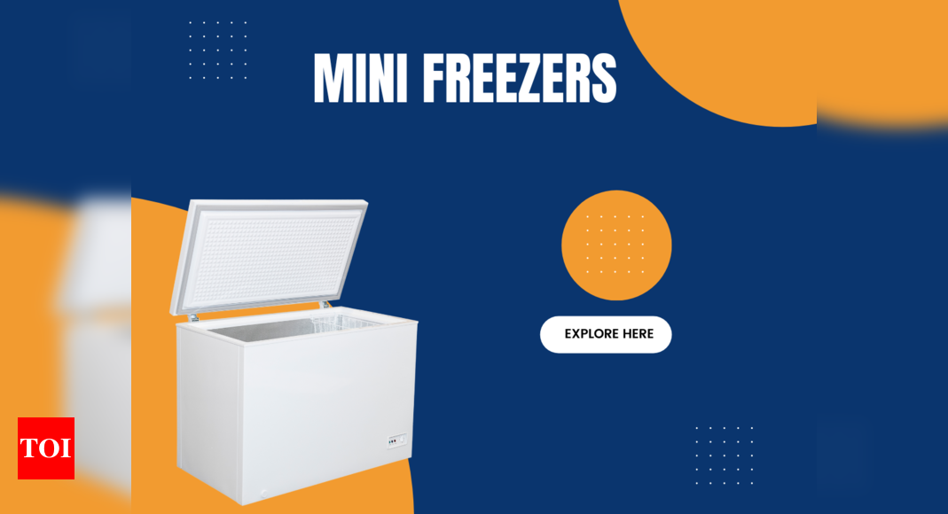 The 5 Best Mini Freezers of 2024