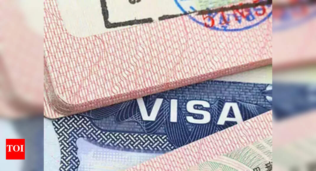 BLS discusses the Impact Of US Visa Fee Hike Times of India